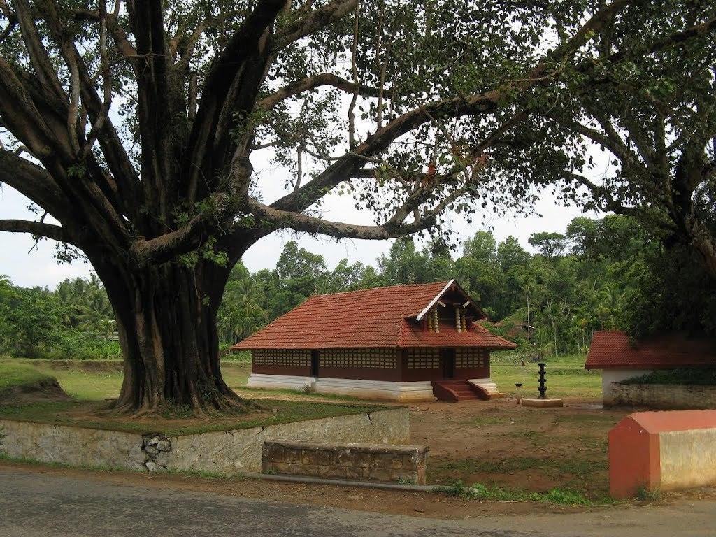 Wayanad Gate Resort Манантавади Екстериор снимка