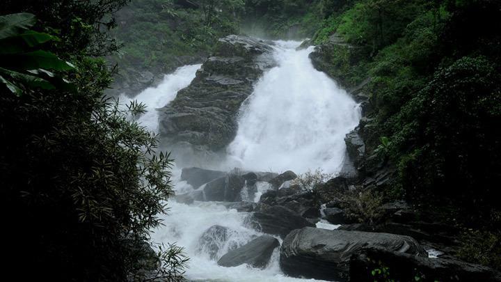 Wayanad Gate Resort Манантавади Екстериор снимка