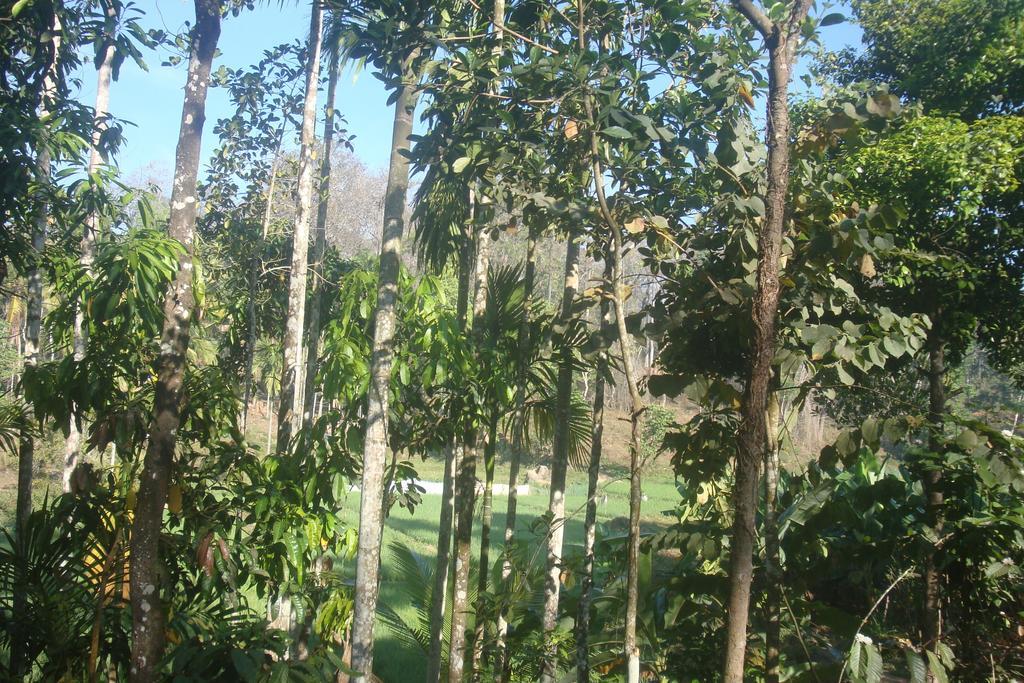 Wayanad Gate Resort Манантавади Екстериор снимка