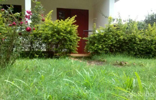 Wayanad Gate Resort Манантавади Екстериор снимка